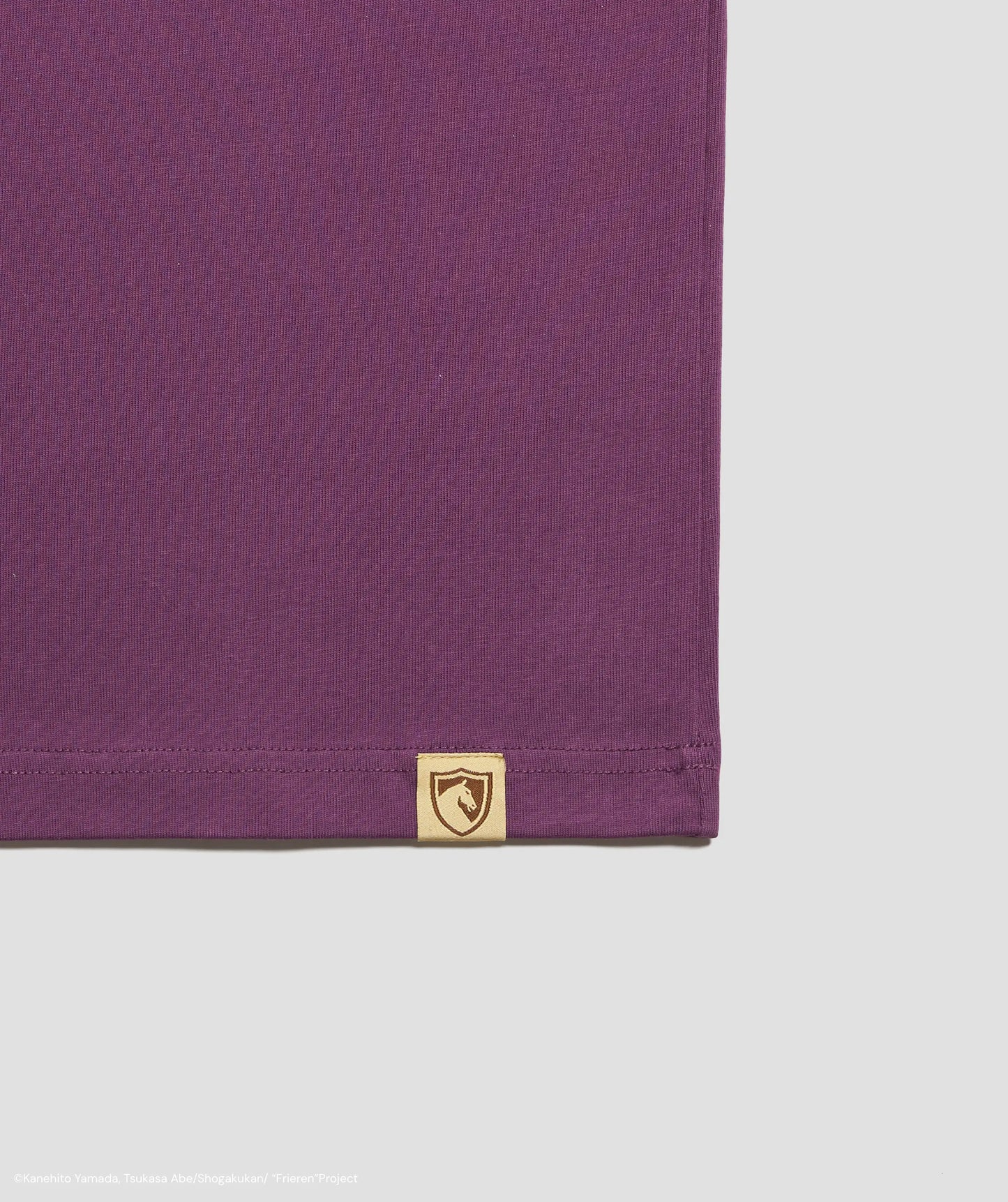 FRIEREN: BEYOND JOURNEY'S END FERN OVERSIZED TEE